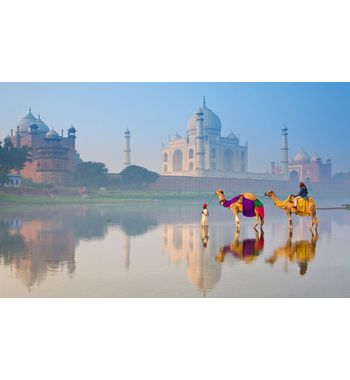 Групповой тур «Золотой треугольник» Индия